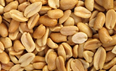Update on Peanuts and Famine Relief