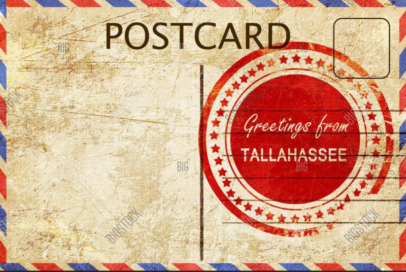 Letter from Tallahassee: Election Day Hangover